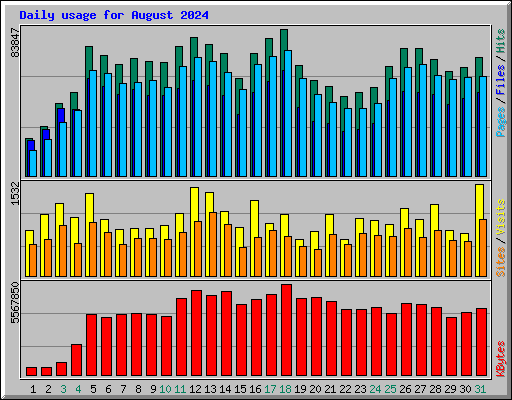 Daily usage for August 2024