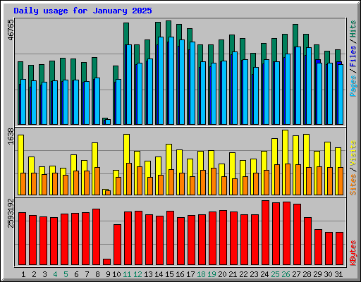 Daily usage for January 2025