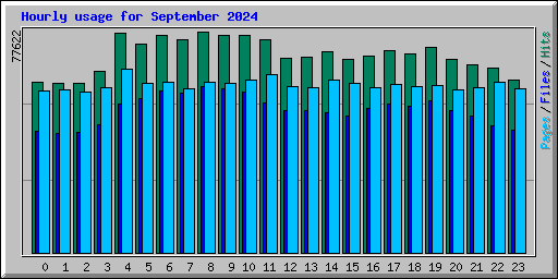 Hourly usage for September 2024