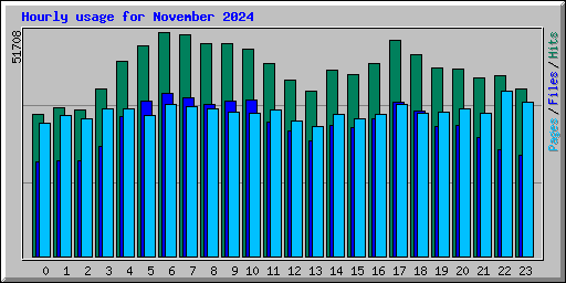 Hourly usage for November 2024