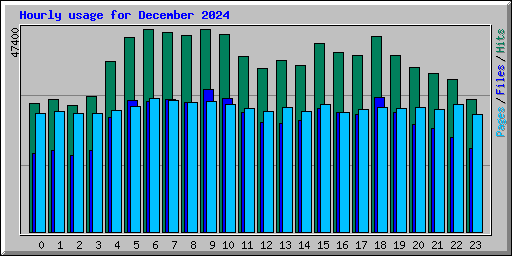 Hourly usage for December 2024