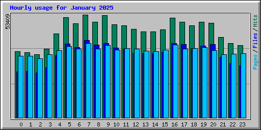 Hourly usage for January 2025